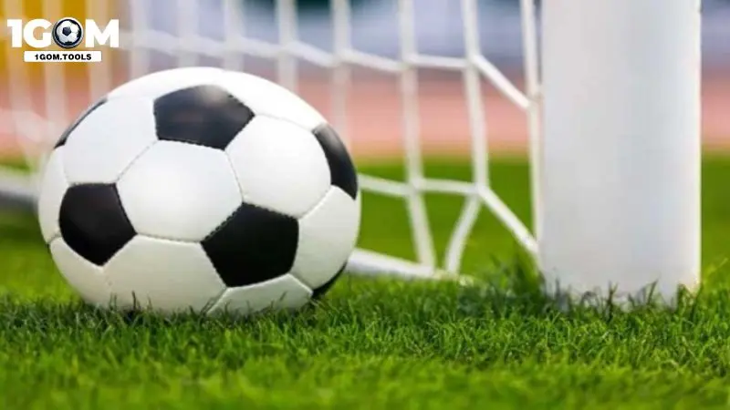 Những loài kèo nhà cái phổ biến hiện nay